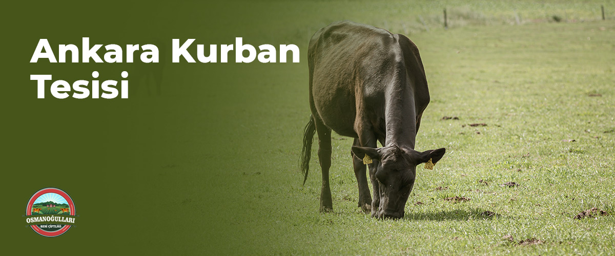 ankara-kurbanlik-tesisi-blog