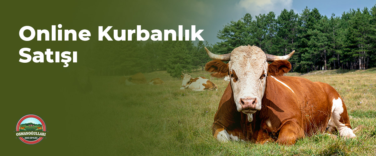 online-kurbanlik-satisi-blog