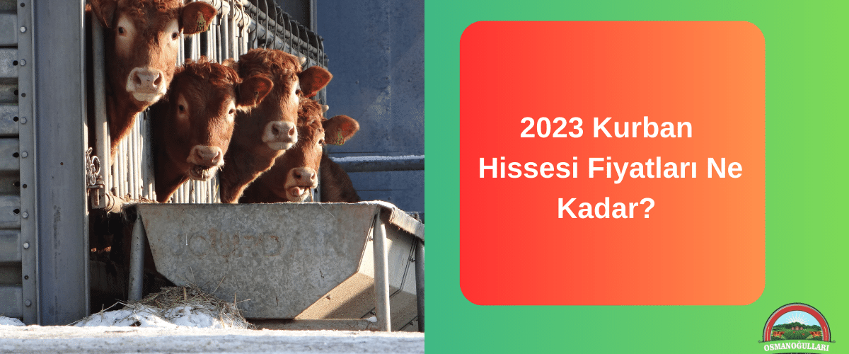2023-kurban-hissesi-fiyatlari-ne-kadar 2023-kurban-hissesi-fiyatlari-ne-kadar