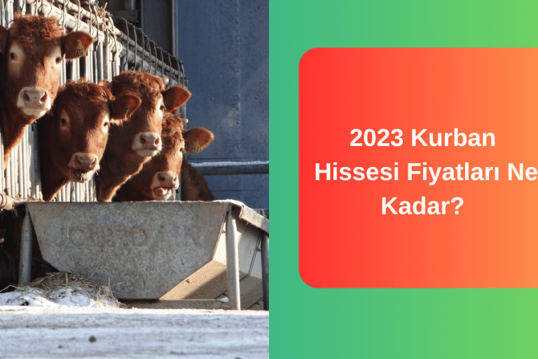 2023-kurban-hissesi-fiyatlari-ne-kadar