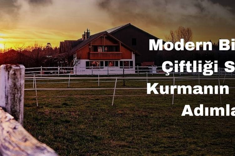 Modern Bir Besi Çiftliği Sitesi Kurmanın Temel Adımları