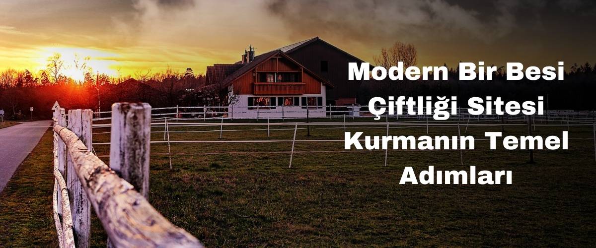 Modern Bir Besi Çiftliği Sitesi Kurmanın Temel Adımları Modern Bir Besi Çiftliği Sitesi Kurmanın Temel Adımları