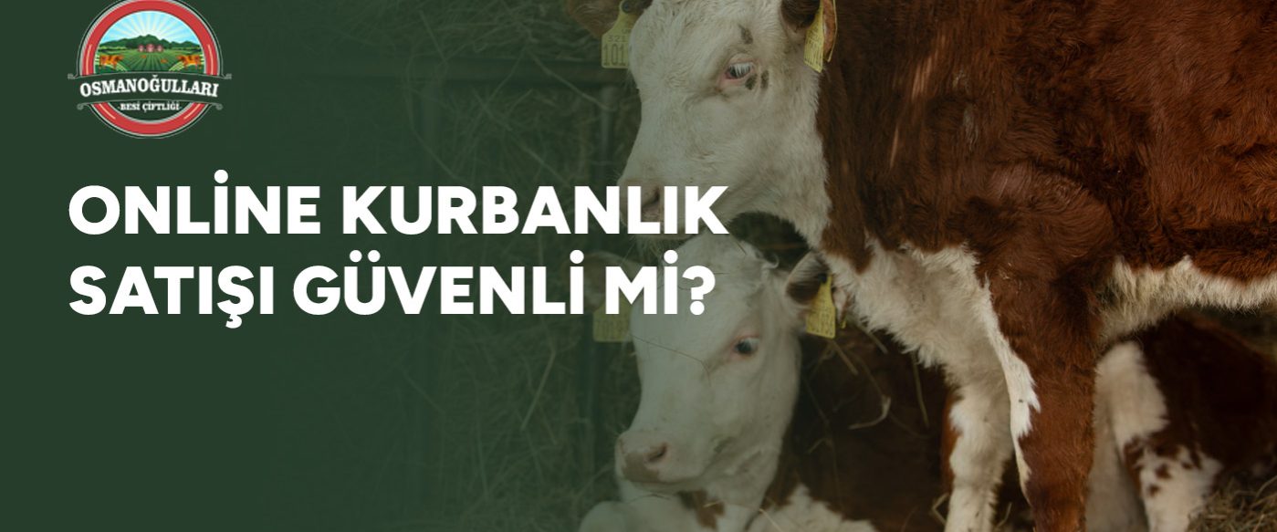online-kurbanlik-satisi-guvenli-mi-gorsel online-kurbanlik-satisi-guvenli-mi-gorsel