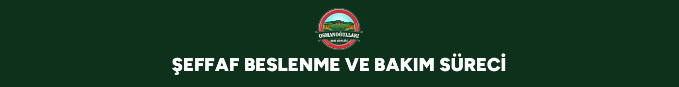 seffaf-beslenme-ve-bakim-sureci-gorsel