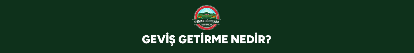 gevis-getirme-nedir-gorsel