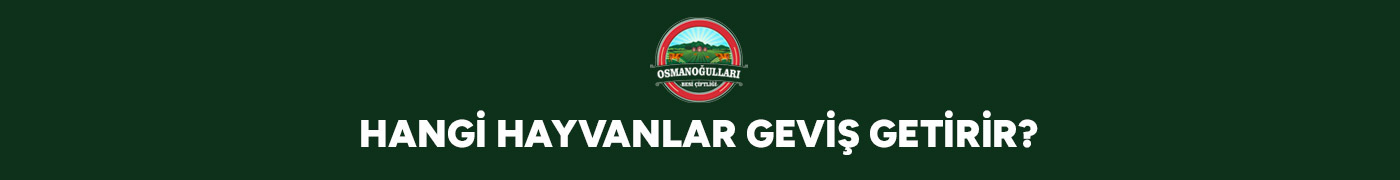 hangi-hayvanlar-gevis-getirir-gorsel